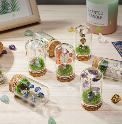 Natural crystal tree mini terrarium, feng shui decoration