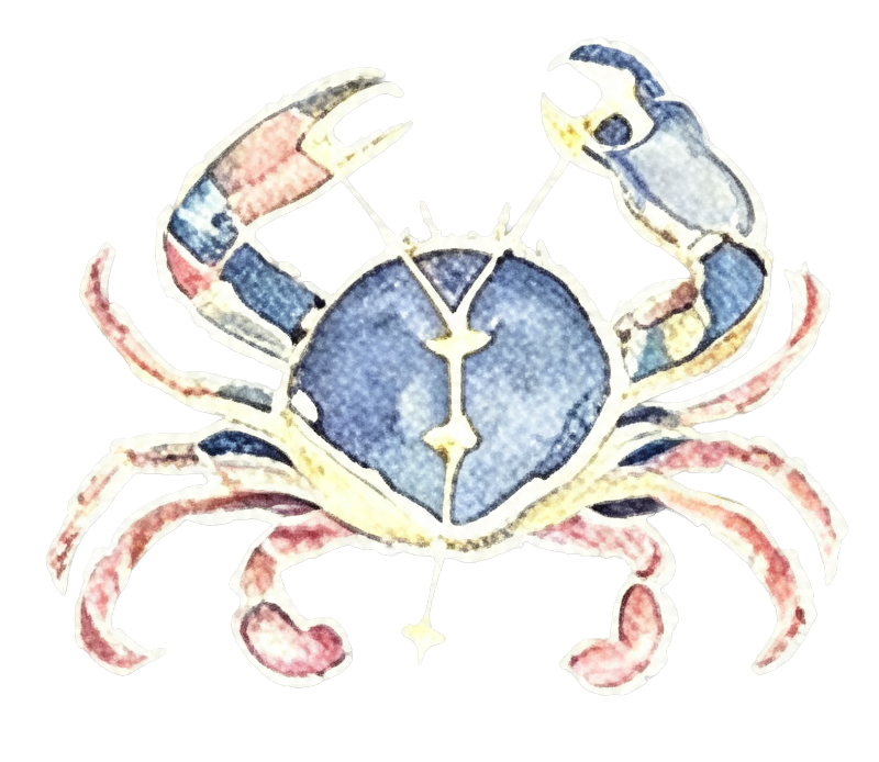 deepsoulstones-the-zodiac-signs-cancer